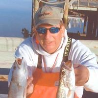Steve Irvin Photo 14