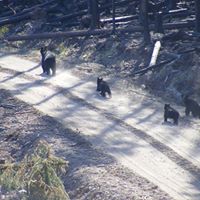 Mark Beatty Photo 48