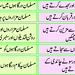 Masood Mirza Photo 19
