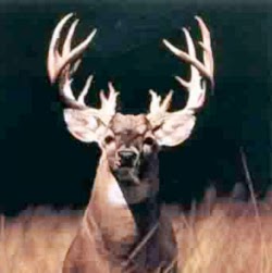 Phillip Leblanc Photo 34
