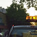 Summer Ryals Photo 8