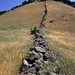 John Sutter Photo 36