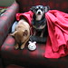 Larry Gooch Photo 17