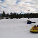 Brandi Snow Photo 15