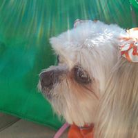 Jan Childers Photo 15