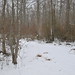 Mason Stone Photo 26
