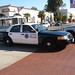 Barbara Ford Photo 12
