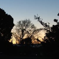 Philip Tully Photo 15