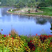Margaret Byrd Photo 26