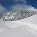 Andrea Lassen Photo 6
