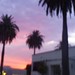 Clifton Cotton Photo 8