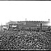 Ralph Hamilton Photo 15