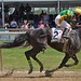 Susan Cooksey Photo 19