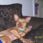 Jennifer Shoffner Photo 14