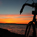 Elizabeth Harms Photo 13