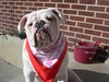 Connie Olson Photo 23