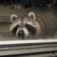 Sharon Woodworth Photo 19