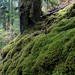 Gina Moss Photo 28