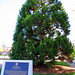 Jerry Gentry Photo 15