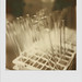 Marlene Sharp Photo 12