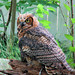 Jasper Falconer Photo 3