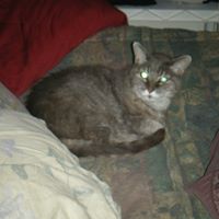 Thomas Hawes Photo 8
