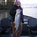 Dana Salmon Photo 13