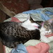 Bobbie Walls Photo 17