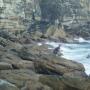 Thomas Landers Photo 10