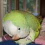 Debra Hurst Photo 12