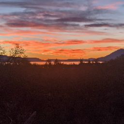 Matthew Clark Photo 39