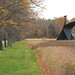 Roy Alexander Photo 21