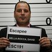 David Rocca Photo 18