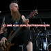 Robert Snell Photo 17