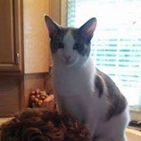 Debbie Tuttle Photo 11