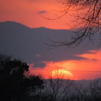 Jan Howell Photo 32
