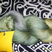 Diane Schaeffer Photo 16