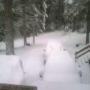 Duane Warren Photo 38