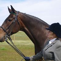 Gina Humphries Photo 8
