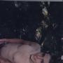 Keith Reid Photo 7