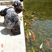 Stephen Carp Photo 7
