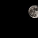 April Moon Photo 13