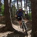 Tony Summers Photo 7