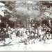 Fred Singleton Photo 11