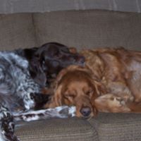Mark Steck Photo 17