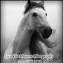 Jennifer Munson Photo 12