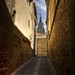 Roberto Toledo Photo 22