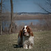 Daniel Springer Photo 5