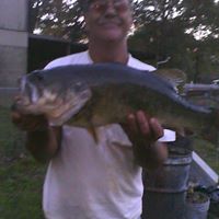 Terry Green Photo 32