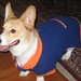 Terri Brown Photo 35